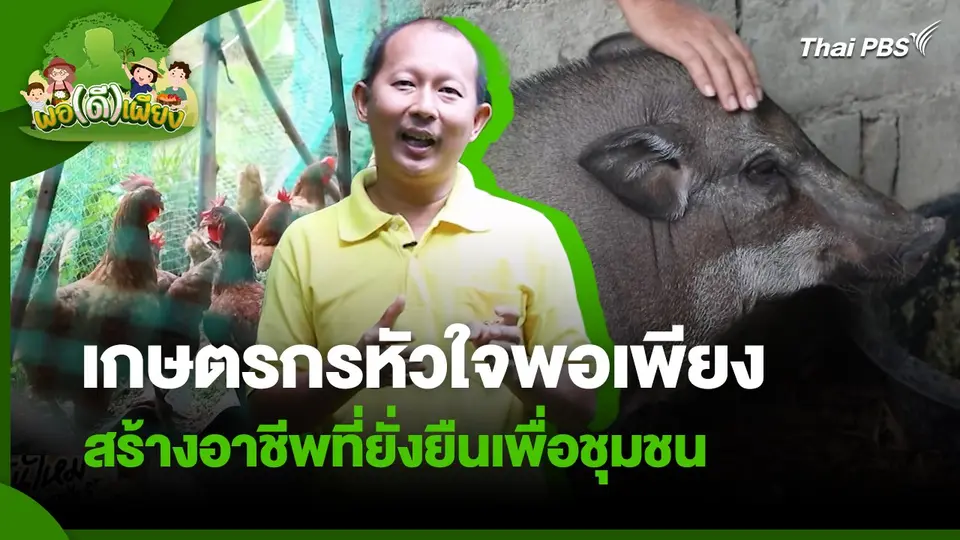 เกษตรกรหัวใจพอเพียงสร้างอาชีพที่ยั่งยืนเพื่อชุมชน | พอดีพอเพียง