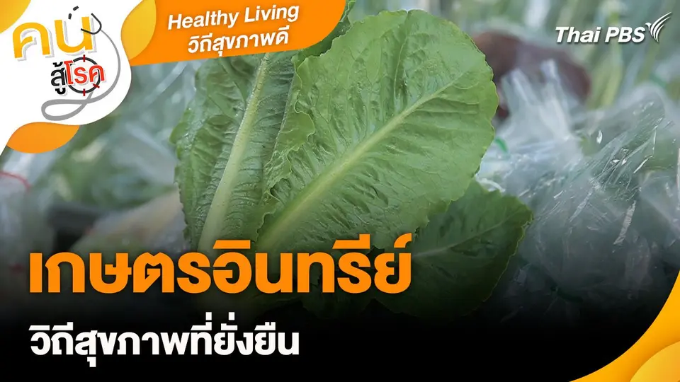 Healthy Living วิถีสุขภาพดี : เกษตรอินทรีย์วิถีสุขภาพที่ยั่งยืน