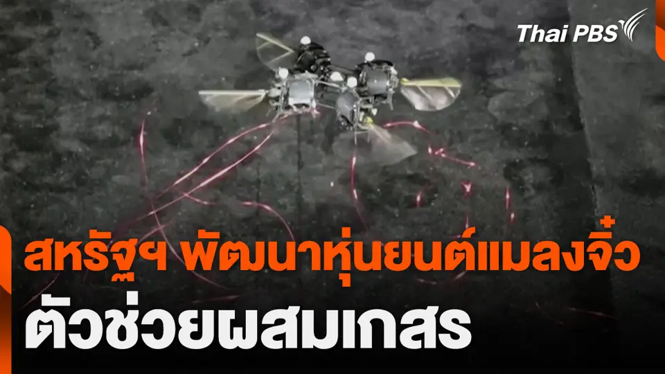สหรัฐฯ พัฒนาหุ่นยนต์แมลงจิ๋ว ตัวช่วยผสมเกสร
