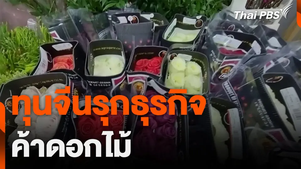 ทุนจีนรุกธุรกิจค้าดอกไม้
