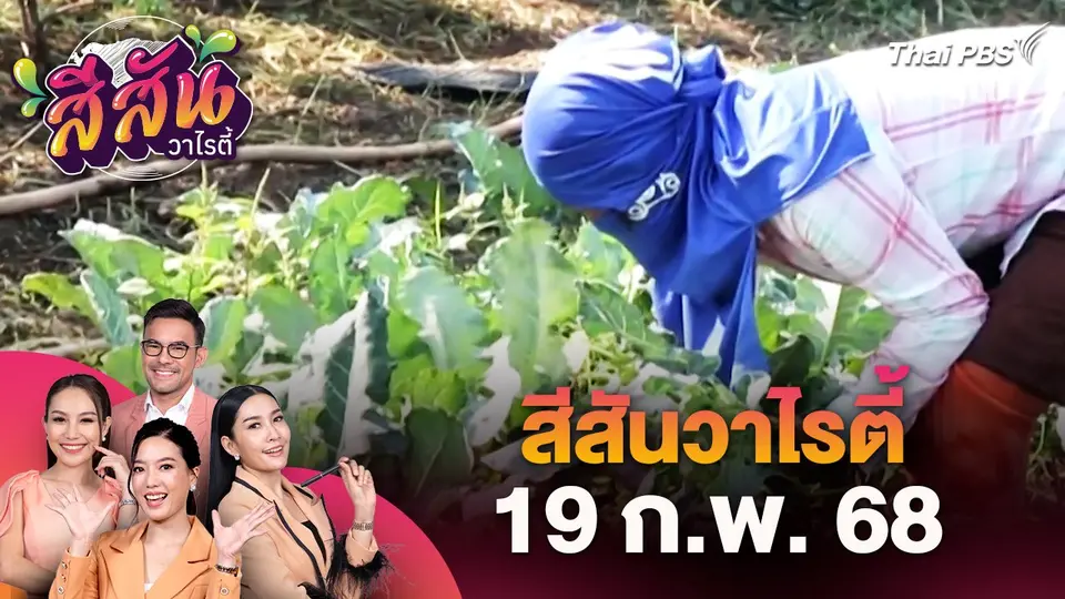 สีสันวาไรตี้ (19 ก.พ. 68)