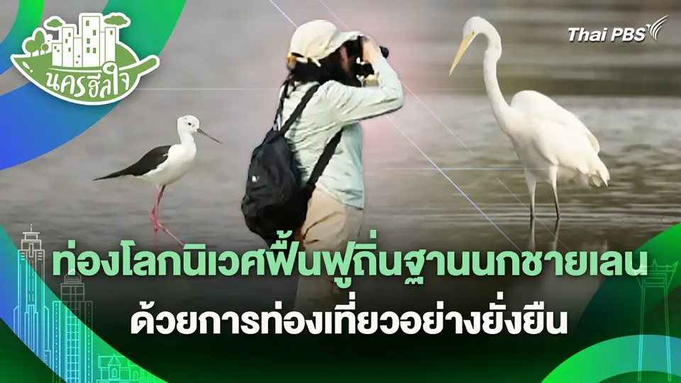 นครฮีลใจ : ท่องโลกนิเวศฟื้นฟูถิ่นฐานนกชายเลนด้วยการท่องเที่ยวอย่างยั่งยืน