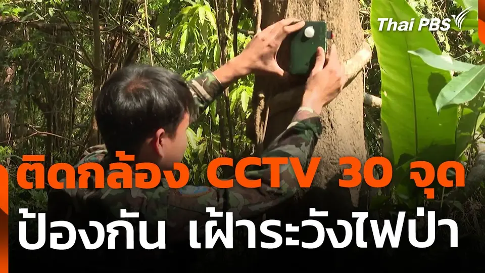 ติดกล้องดักถ่าย และ CCTV 30 จุด เฝ้าระวังไฟป่า