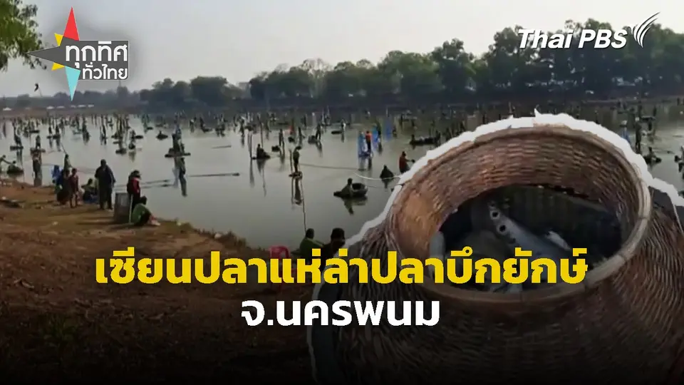 เซียนปลาแห่ล่าปลาบึกยักษ์ จ.นครพนม