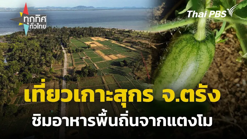 เที่ยวเกาะสุกร ชิมอาหารพื้นถิ่นจากแตงโม จ.ตรัง
