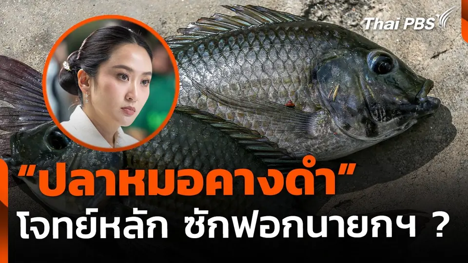 เก็งโจทย์ "ปลาหมอคางดำ" ซักฟอกนายกฯ พิสูจน์ฝีมือแก้ปัญหา