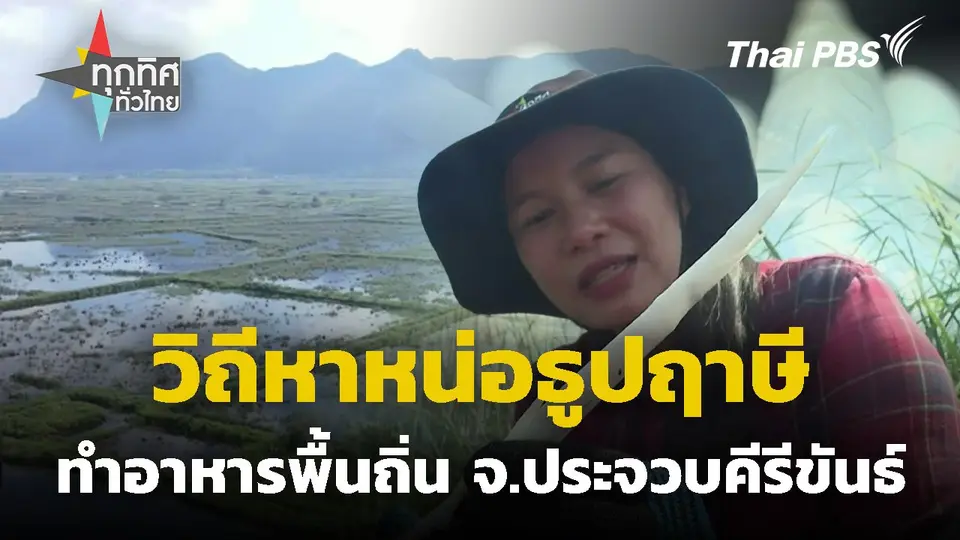 วิถีหาหน่อธูปฤาษีทำอาหารพื้นถิ่น จ.ประจวบคีรีขันธ์