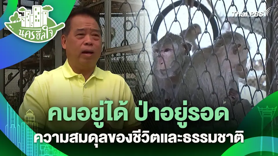 นครฮีลใจ : คนอยู่ได้ ป่าอยู่รอด ความสมดุลของชีวิตและธรรมชาติ