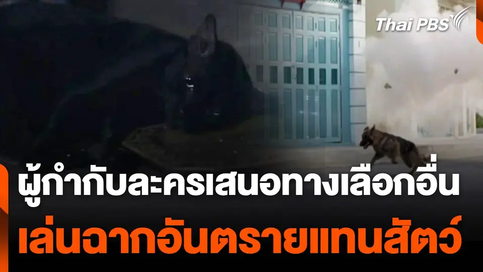 ผู้กำกับละครเสนอทางเลือกอื่น เล่นฉากอันตรายแทนสัตว์