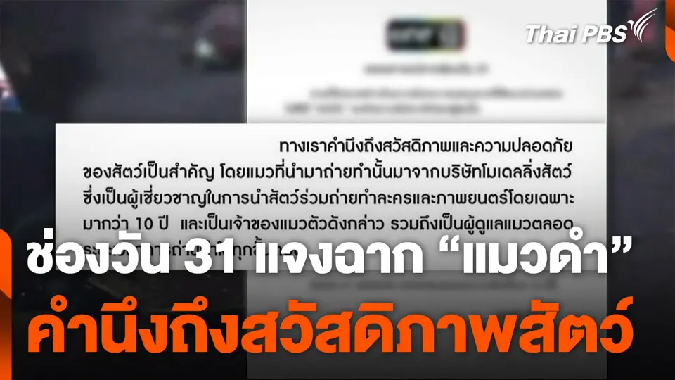 ช่องวัน 31 แจงฉาก "แมวดำ" คำนึงถึงสวัสดิภาพสัตว์