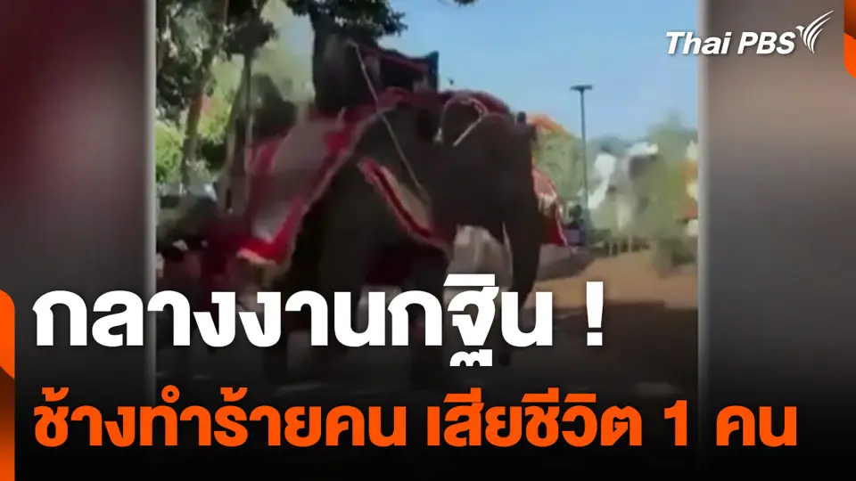 กลางงานกฐิน ! ช้างทำร้ายคน เสียชีวิต 1 คน