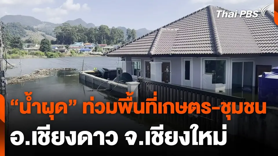 "น้ำผุด" ท่วมพื้นที่เกษตร-ชุมชน อ.เชียงดาว จ.เชียงใหม่