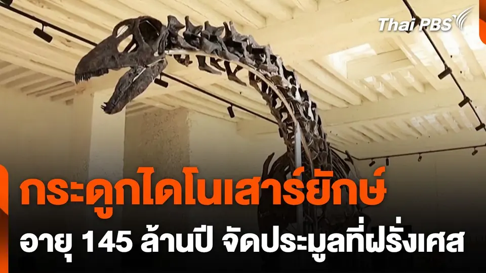 ประมูลกระดูกไดโนเสาร์ยักษ์ที่ฝรั่งเศส
