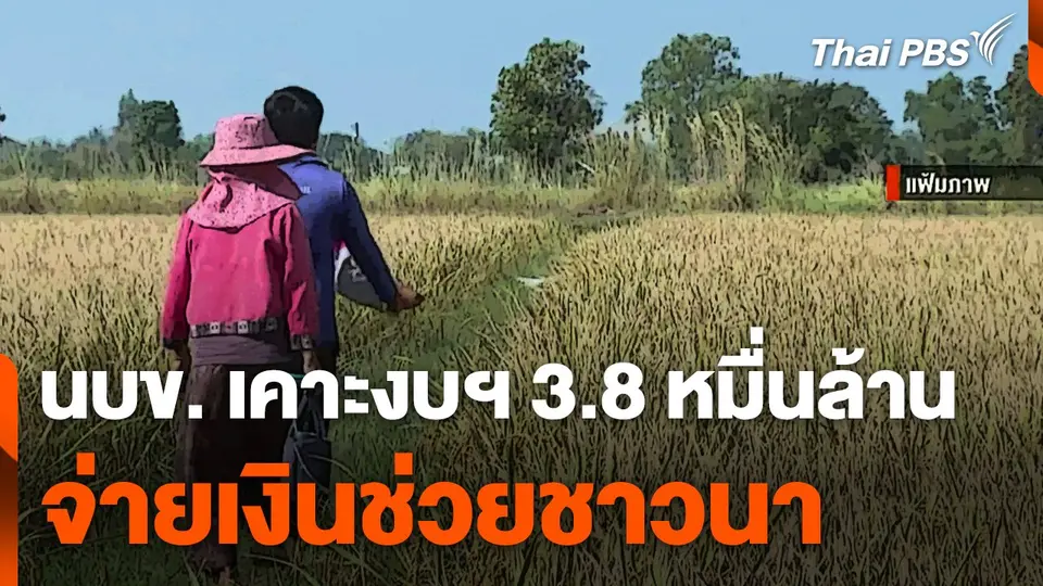 นบข. เคาะงบฯ 3.8 หมื่นล้านบาท จ่ายเงินช่วยชาวนา