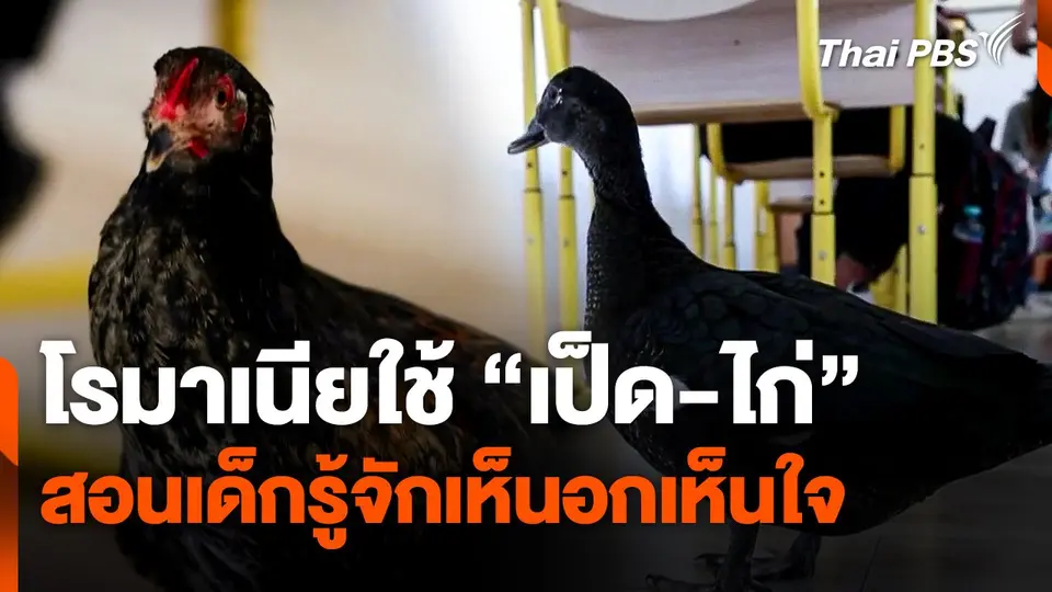 โรมาเนียใช้ "เป็ด-ไก่" สอนเด็กรู้จักเห็นอกเห็นใจ
