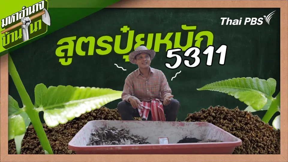 สูตรลับฉบับบ้านนา : สูตรปุ๋ยหมัก 5311