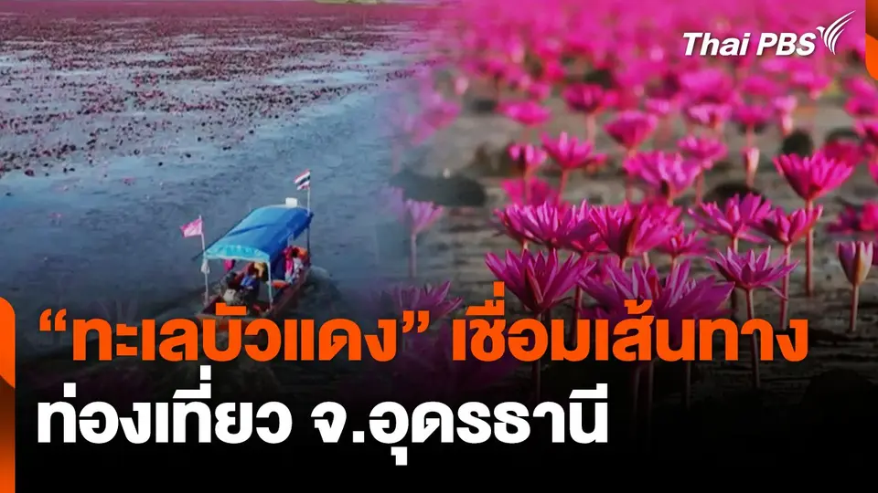 ดันทะเลบัวแดง เชื่อมเส้นทางท่องเที่ยวอุดรธานี