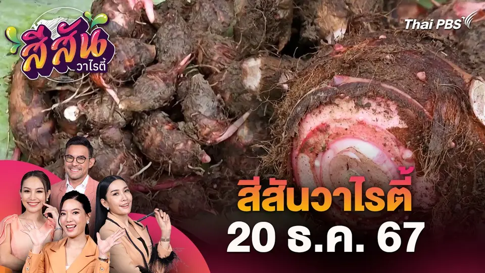 สีสันวาไรตี้ (20 ธ.ค. 67)