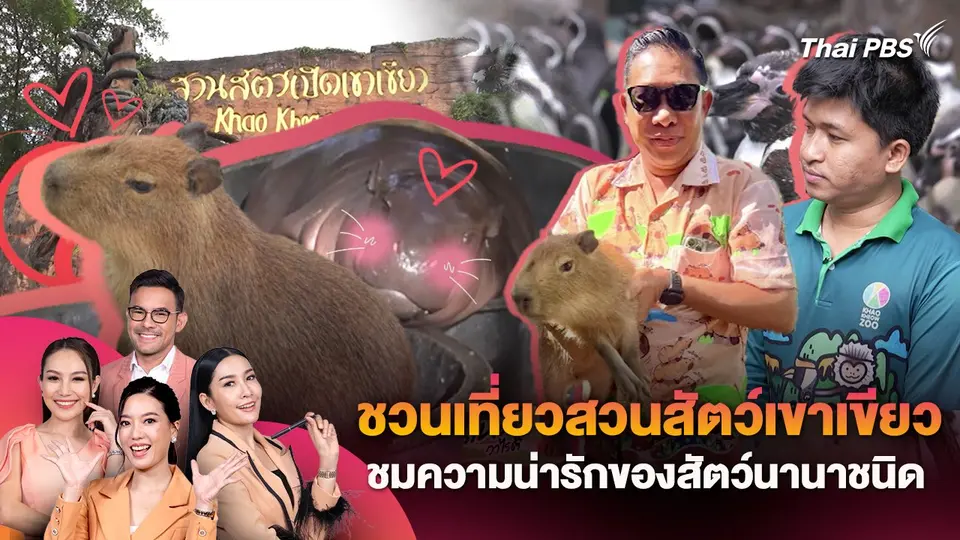 ชวนเที่ยวสวนสัตว์เขาเขียว ชมความน่ารักของสัตว์นานาชนิด