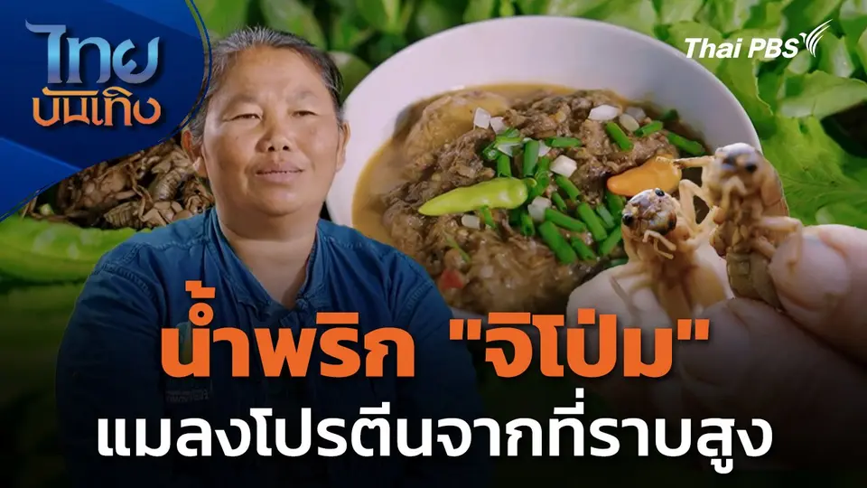 ในรอยรสพริก : น้ำพริก "จิโป่ม" แมลงโปรตีนจากที่ราบสูง