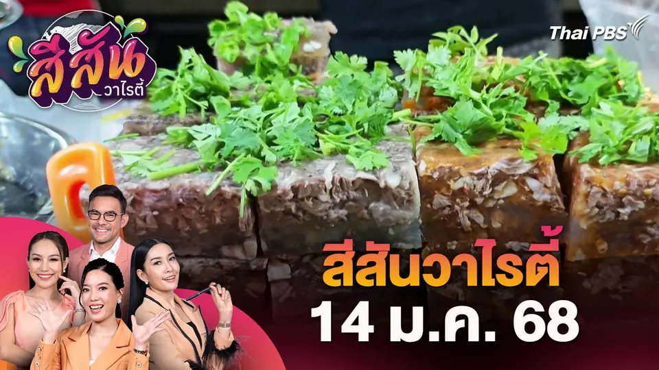สีสันวาไรตี้ (14 ม.ค. 68)