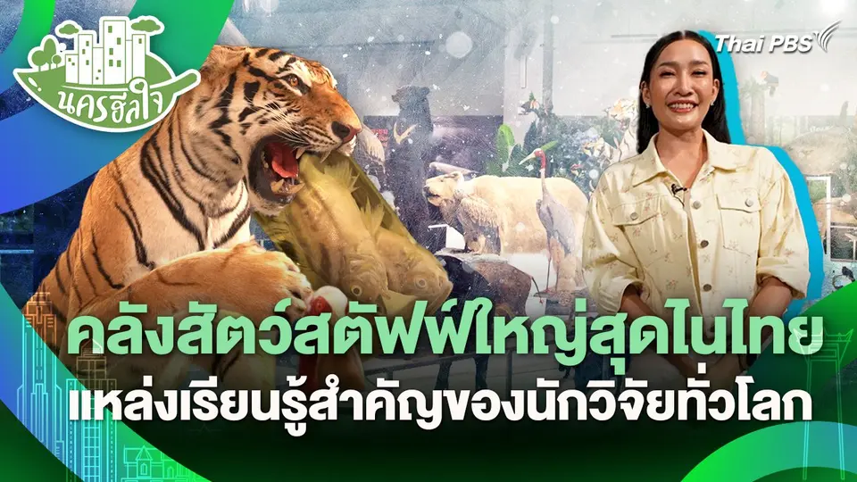นครฮีลใจ : คลังสัตว์สตัฟฟ์ใหญ่สุดไนไทย แหล่งเรียนรู้สำคัญของนักวิจัยทั่วโลก