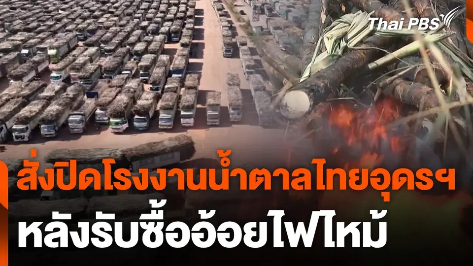 สั่งปิดโรงงานน้ำตาลไทยอุดรธานี หลังรับซื้ออ้อยไฟไหม้