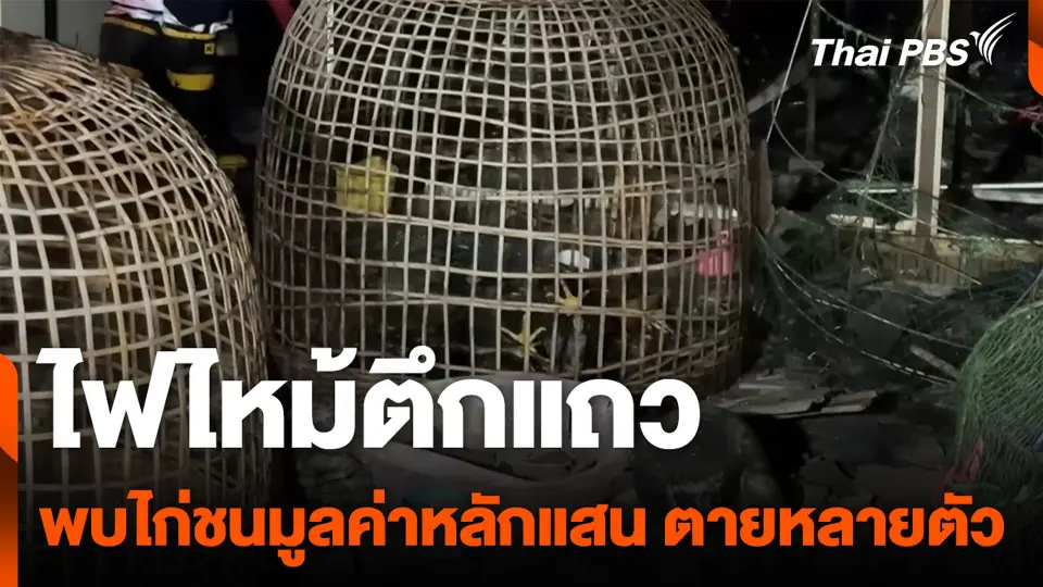 ไฟไหม้ตึกแถว พบไก่ชนมูลค่าหลักแสน ตายหลายตัว