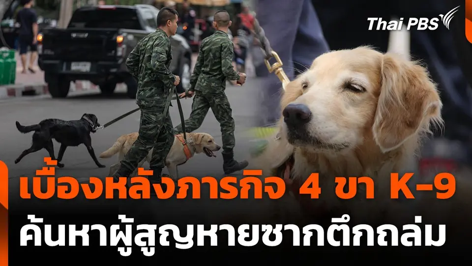 เบื้องหลังภารกิจ 4 ขา K-9 ค้นหาผู้สูญหายซากตึกถล่ม