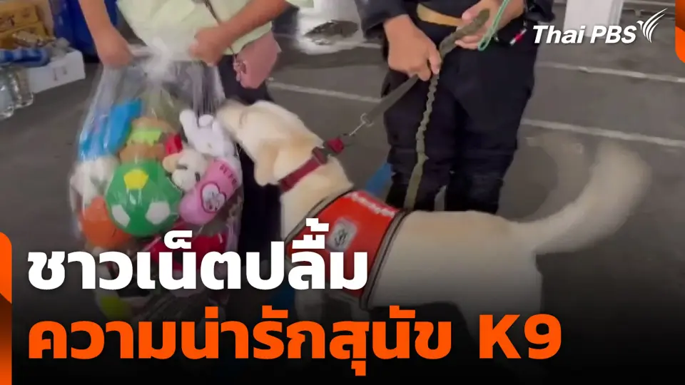 ชาวเน็ตปลื้ม ความน่ารักสุนัข K9