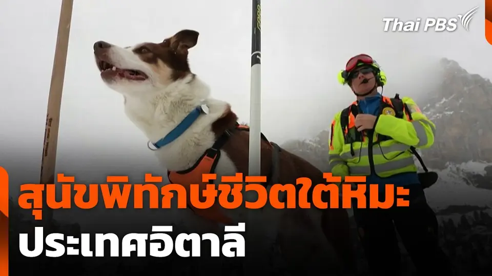 สุนัขพิทักษ์ชีวิตใต้หิมะ ประเทศอิตาลี