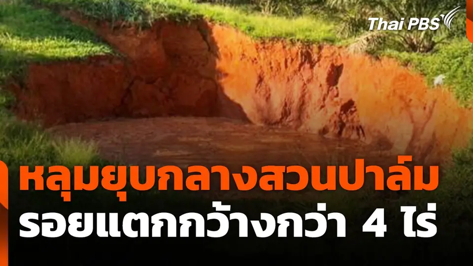 หลุมยุบกลางสวนปาล์ม - รอยแตกกว้างกว่า 4 ไร่