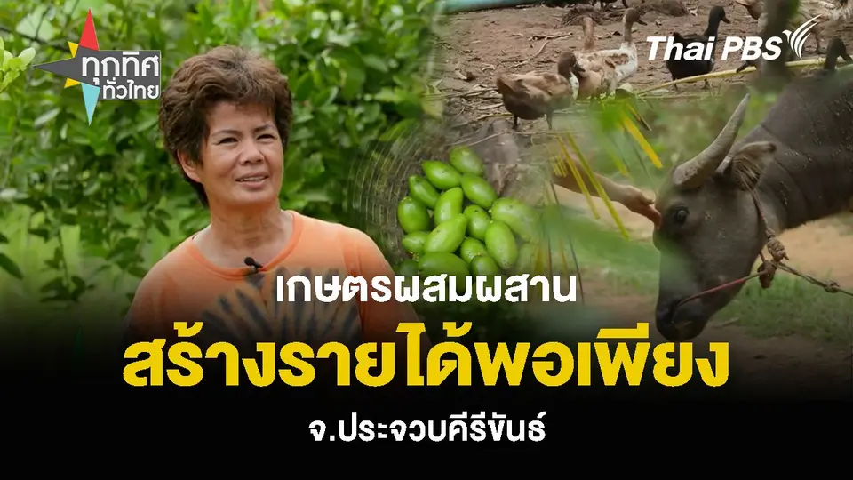 เกษตรผสมผสาน สร้างรายได้พอเพียง จ.ประจวบคีรีขันธ์
