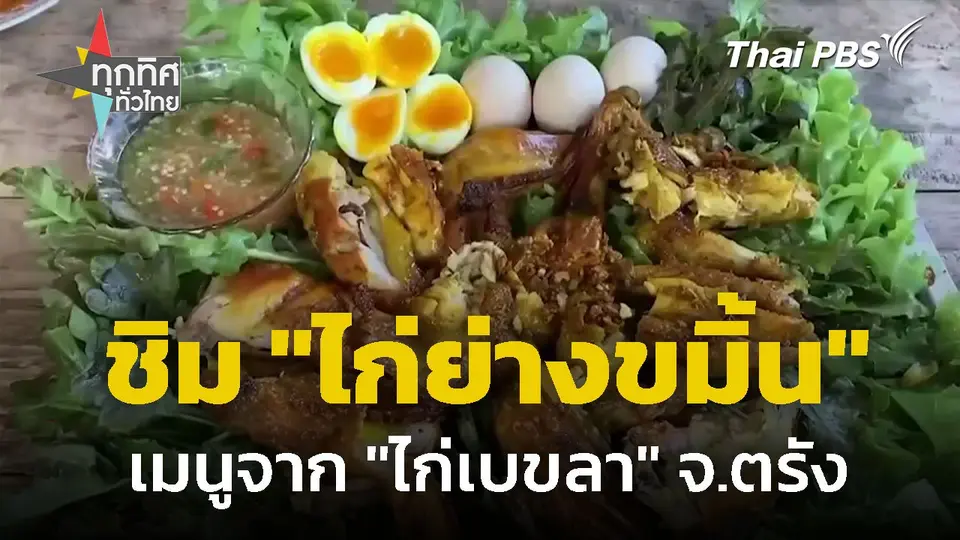 ชิม "ไก่ย่างขมิ้น" เมนูจาก "ไก่เบขลา" จ.ตรัง