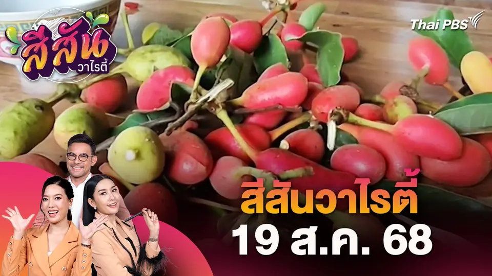 สีสันวาไรตี้ (19 ส.ค. 68)