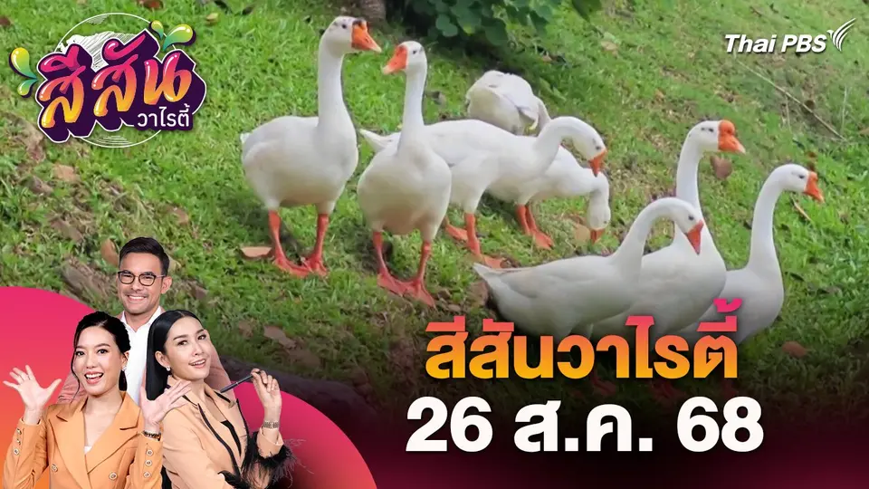 สีสันวาไรตี้ (26 ส.ค. 68)