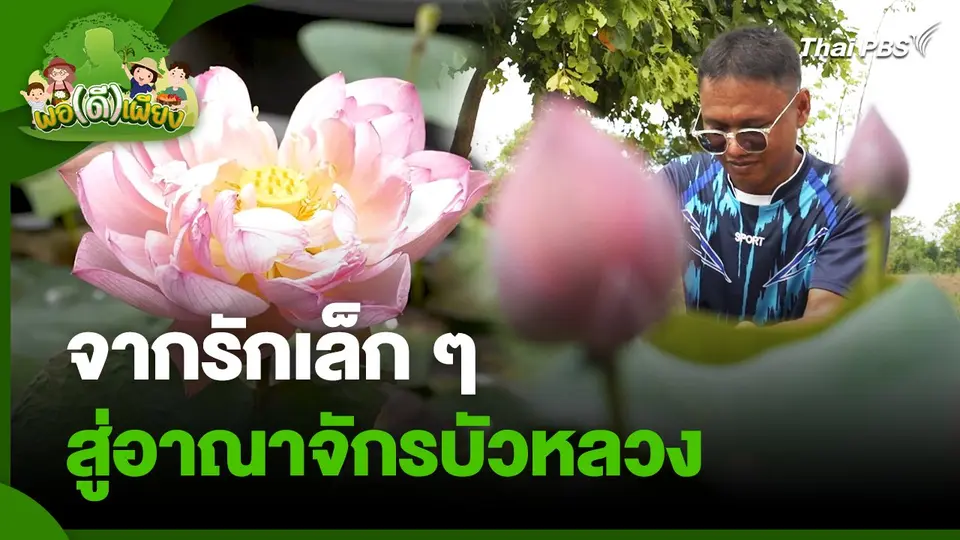 พอดีพอเพียง : จากรักเล็ก ๆ สู่อาณาจักรบัวหลวง