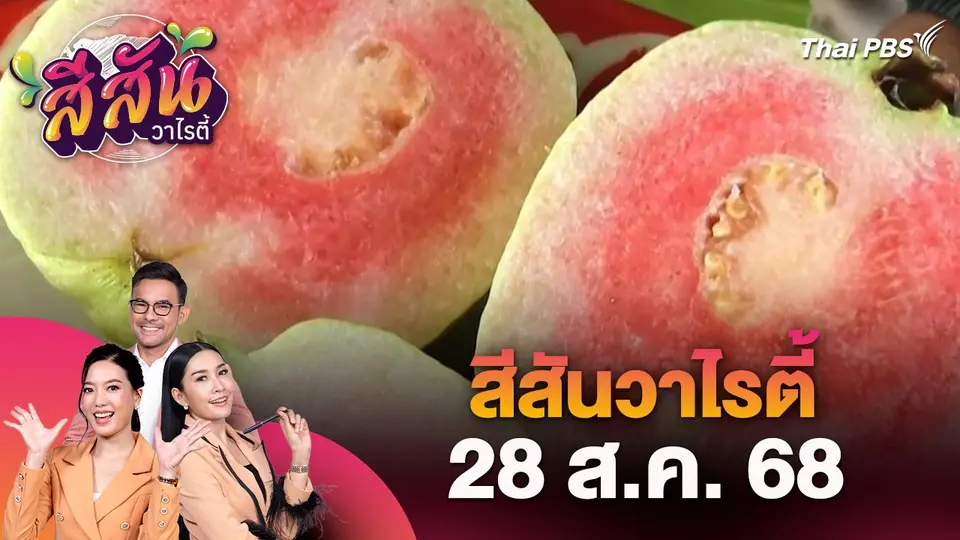 สีสันวาไรตี้ (28 ส.ค. 68)