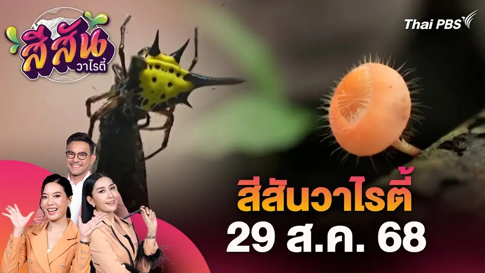 สีสันวาไรตี้ (29 ส.ค. 68)