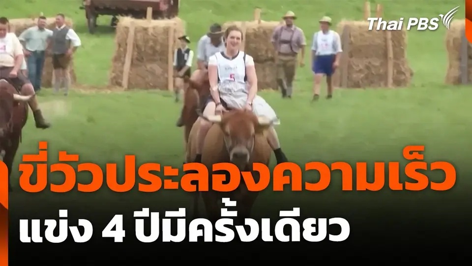 แข่งขี่วัวประลองความเร็ว ประเทศเยอรมนี