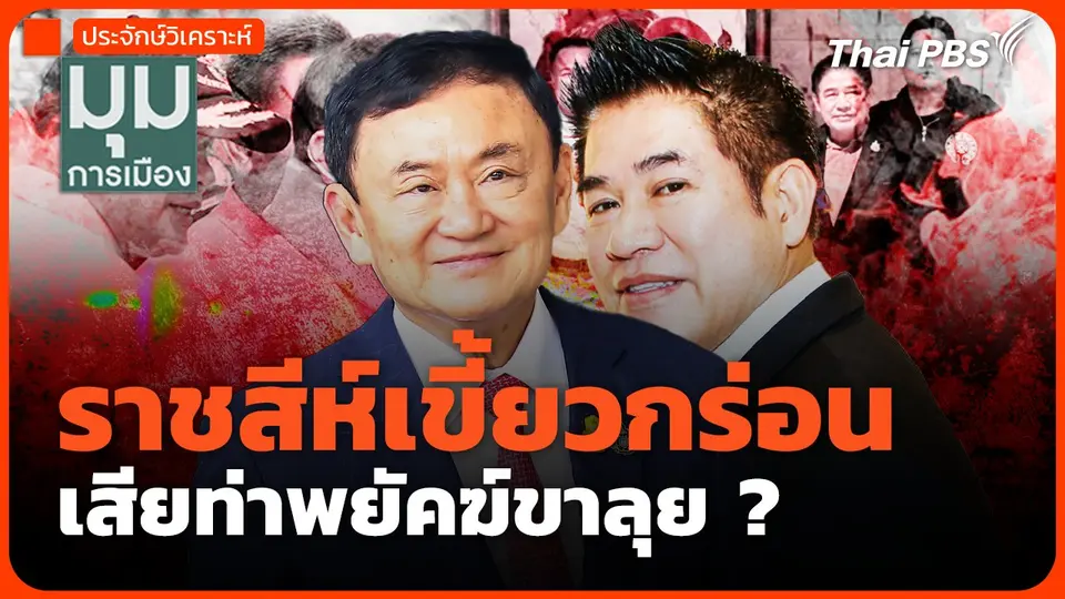 ราชสีห์เขี้ยวกร่อน เสียท่าพยัคฆ์ขาลุย ?