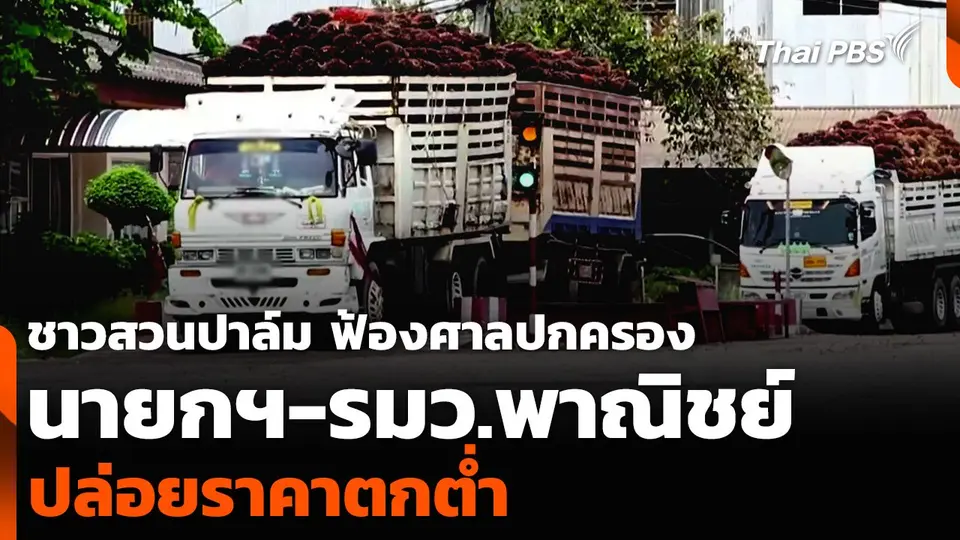 ชาวสวนปาล์ม ฟ้องศาลปกครอง นายกฯ-รมว.พาณิชย์ ปล่อยราคาตกต่ำ