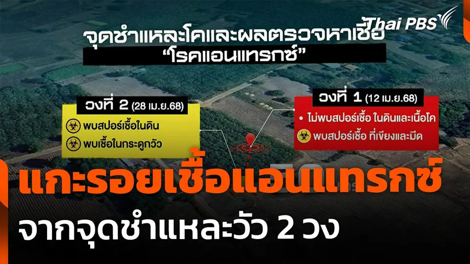 The EXIT : แกะรอยต้นตอ "เชื้อแอนแทรกซ์"