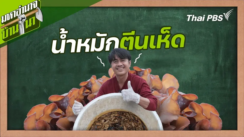 สูตรลับฉบับบ้านนา : น้ำหมักตีนเห็ด