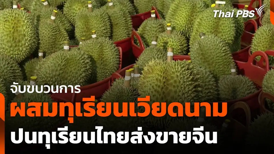 จับขบวนการนำทุเรียนเวียดนามปนทุเรียนไทยส่งขายจีน