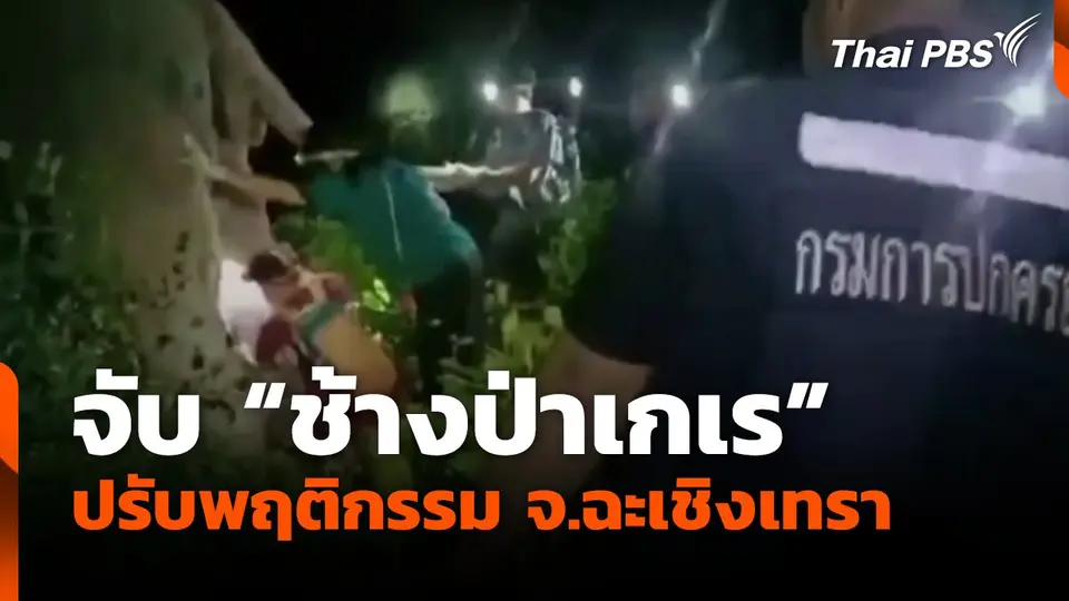 จับ "ช้างป่าเกเร" ไปปรับพฤติกรรม จ.ฉะเชิงเทรา