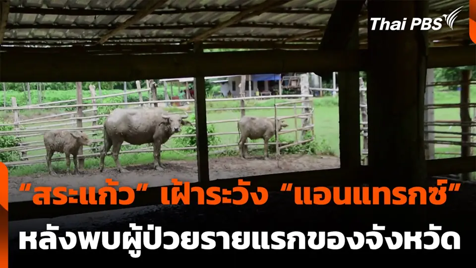 “สระแก้ว” เฝ้าระวัง “แอนแทรกซ์” หลังพบผู้ป่วยรายแรกของจังหวัด