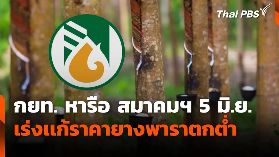 กยท. หารือ สมาคมฯ 5 มิ.ย. เร่งเเก้ราคายางพาราตกต่ำ