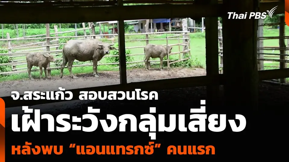 จ.สระแก้ว สอบสวนโรค-เฝ้าระวังกลุ่มเสี่ยง หลังพบ “แอนแทรกซ์” คนแรก