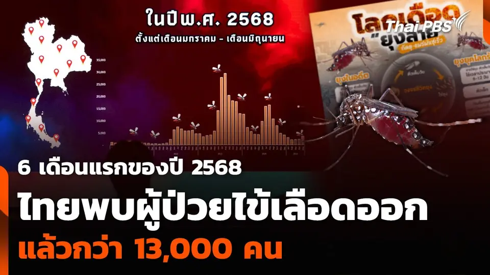 6 เดือนแรกของปี 2568 ไทยพบผู้ป่วยไข้เลือดออกแล้วกว่า 13,000 คน
